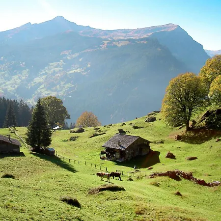 Apartman Abendrot Apartments-18 By Interhome Grindelwald